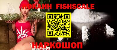 Альфа ПВП Камышлов