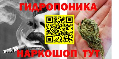 тгк Кандалакша